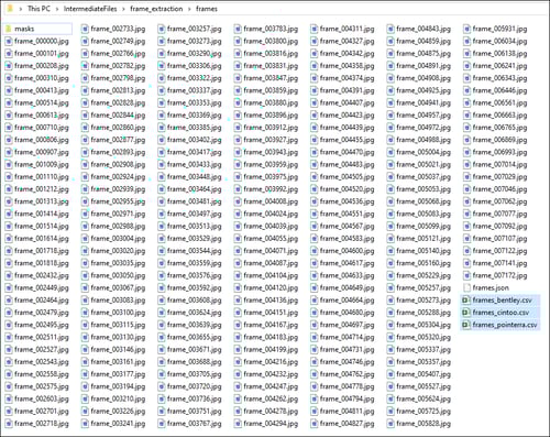 Colorization Output Folder