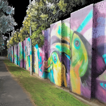 image-20251127-202218